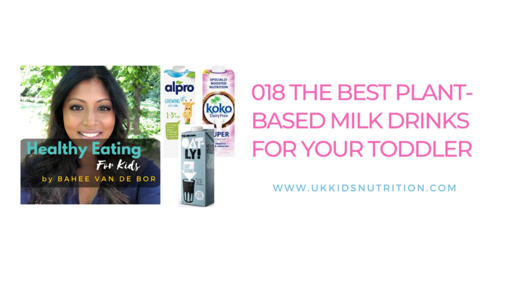3 Best PlantBased Milk Alternatives For Toddlers Bahee Van de Bor