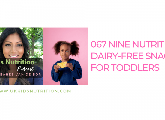 9 Nutritious Dairy Free Snacks For Toddlers