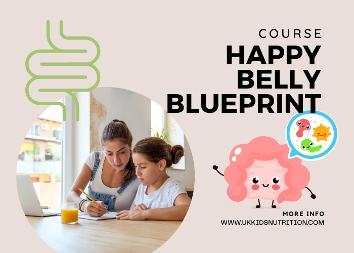 happy-belly-blueprint-course