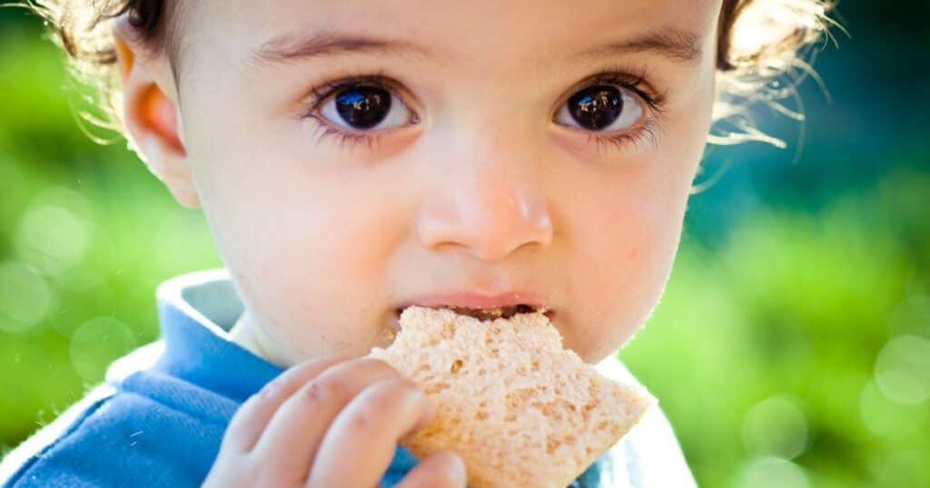 bread-prebiotic-foods-for-kids