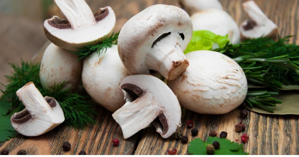mushrooms-best-foods-for-the-brain
