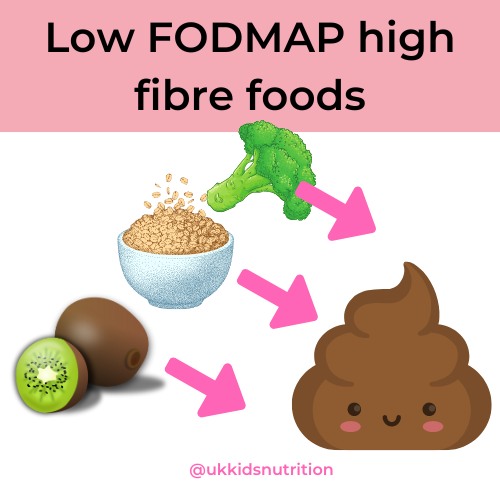 LOW FODMAP HIGH FIBRE FOODS