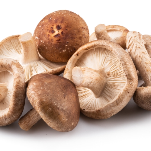 mushrooms-fodmap