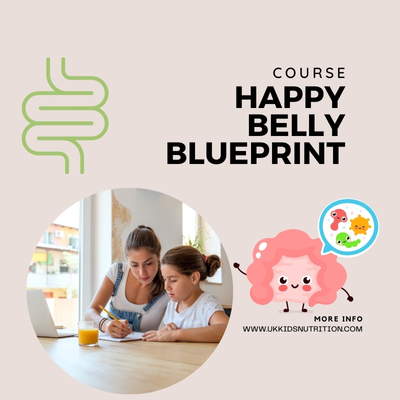 happy-belly-blueprint-course