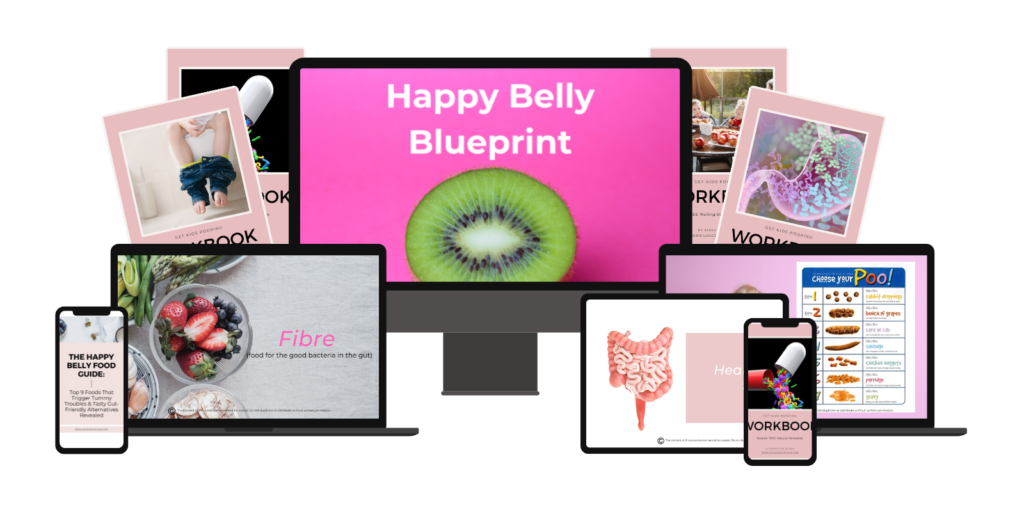 happy-belly-blueprint-workbook-mockup
