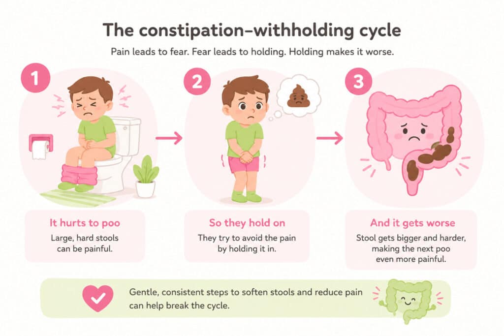 The constipation-withholding cycle in child afraid to poo