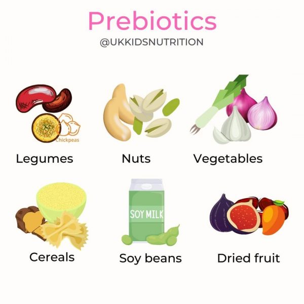 prebiotic-foods