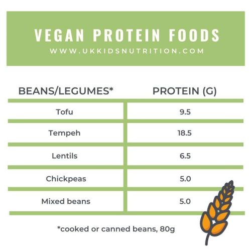 high-protein-foods-for-for-toddlers-list