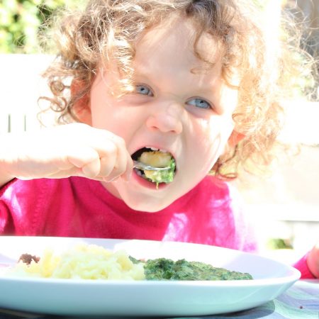 fussy-eater-solutions-online-course fussy-eater-solutions-online-course