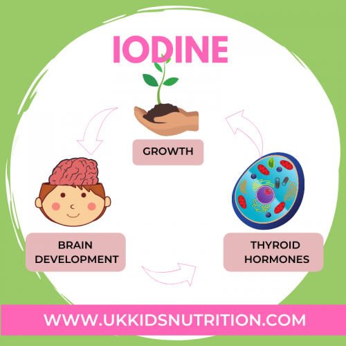 iodine-dairy-free-yoghurt