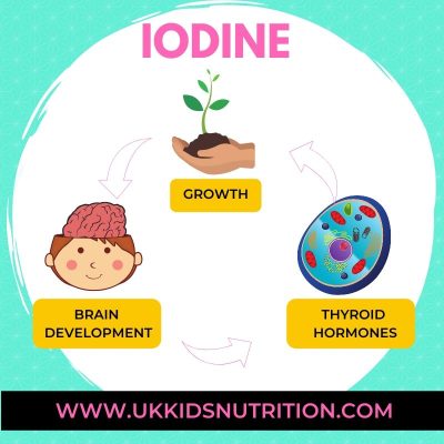 iodine on dairy free diet