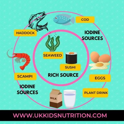 iodine rich foods iodine on a dairy free diet