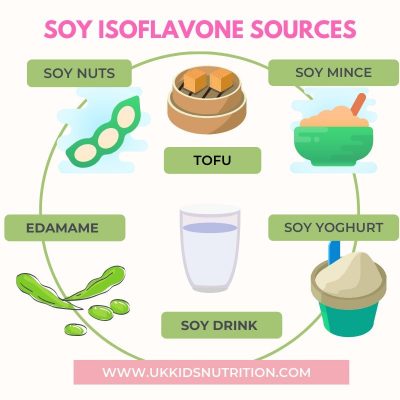 SOY-FOODS-ISOFLAVONES